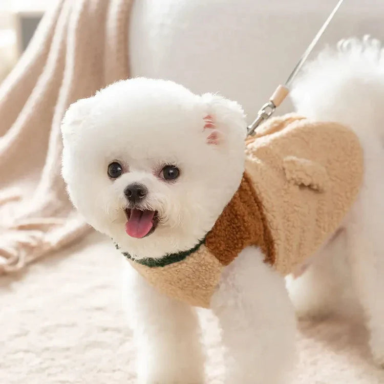 Dog jackets and coats