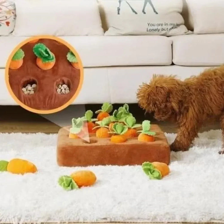 Dog interactive toys