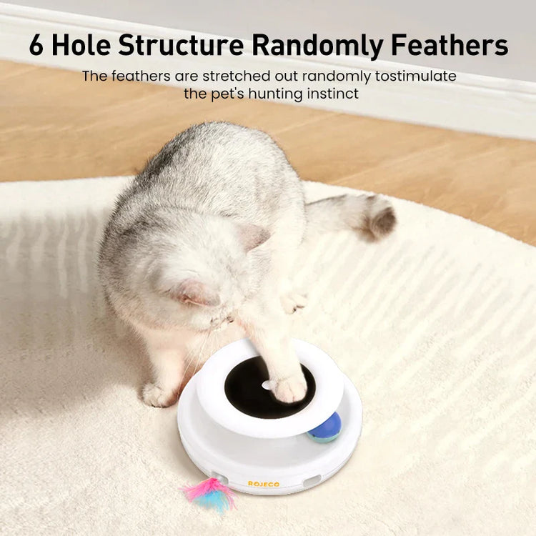 Cat interactive toys