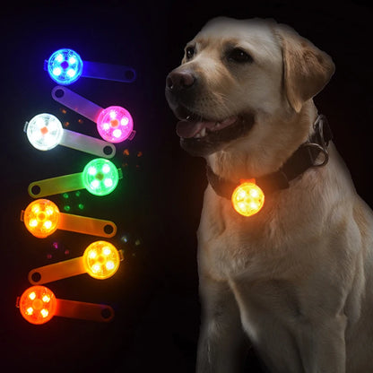 LED pet collar – luminous safety pendant, waterproof flashing harness™