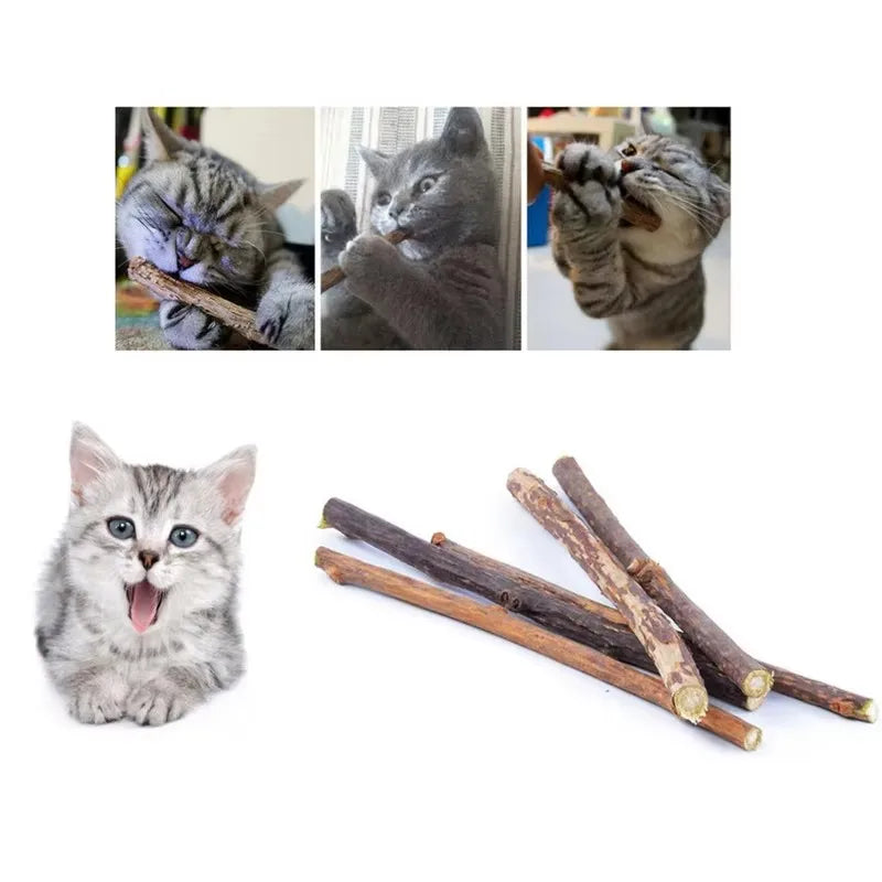 Silvervine sticks for cats – natural chew toys for teeth & molar care™