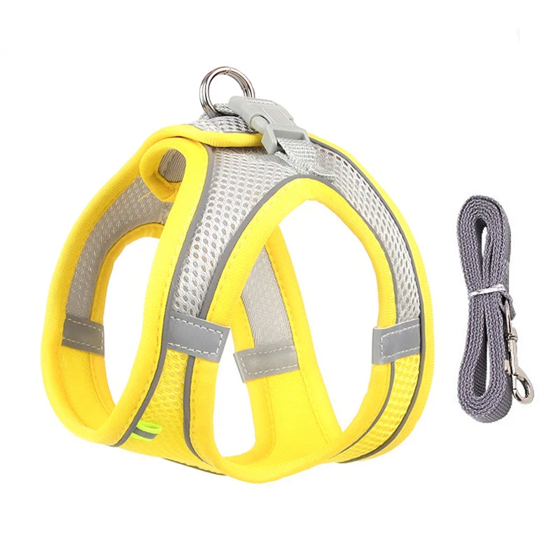 Dog Harness Leash Set for Small Dogs™