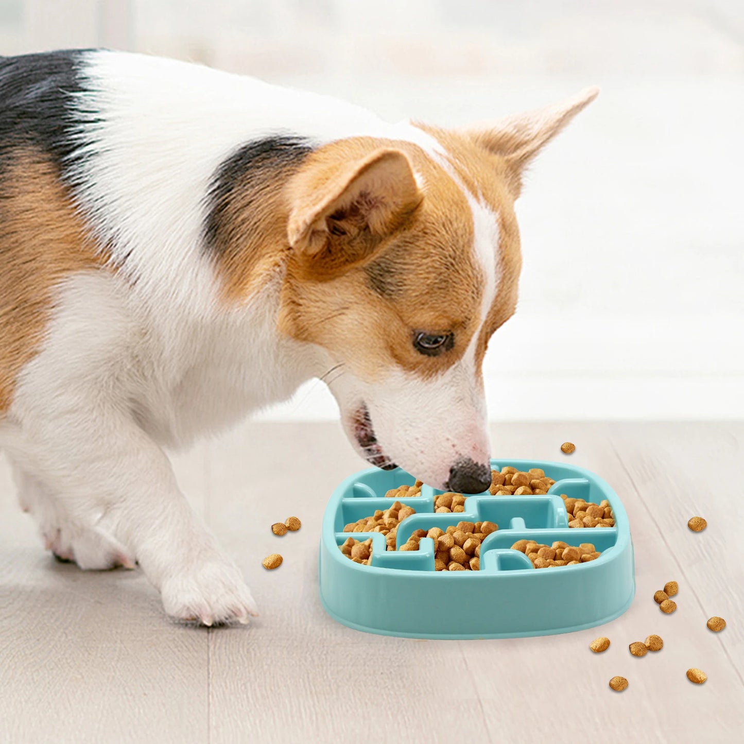 Das Geheimnis einer gesunden Ernährung für Ihren Hund™