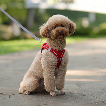 Hundegeschirr Leine-set für kleeine hunde ™