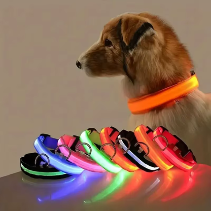 Safety Collar LED Night™