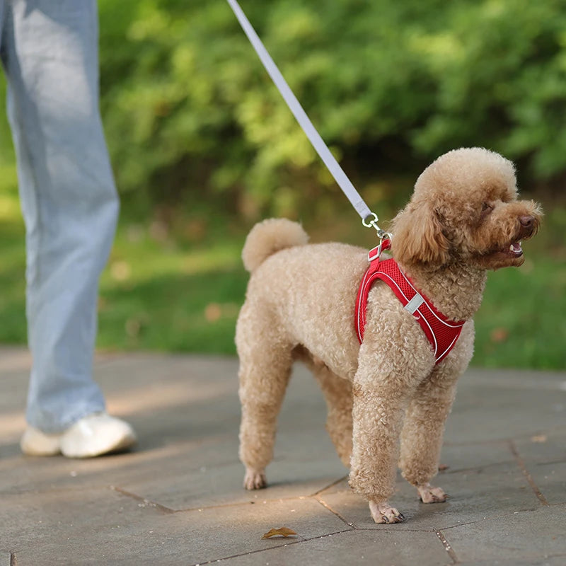 Dog Harness Leash Set for Small Dogs™