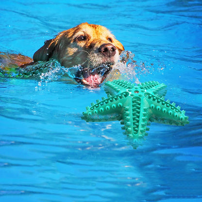 Dog toys – starfish-shaped squeaky chew for training & dental care, ideal for large dogs™