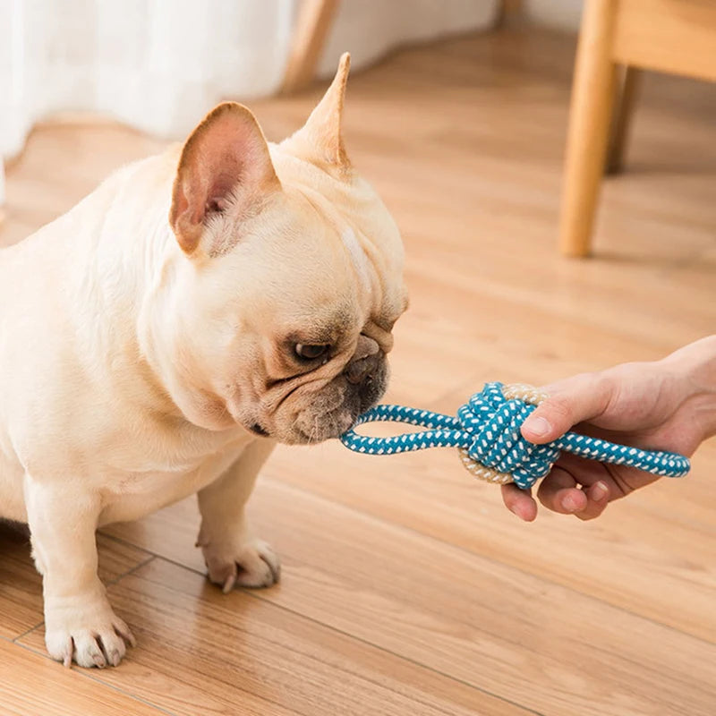 Interaktive Baumwollseil-Hundespielzeuge – Mini-Kauspielzeugball & Zahnbürste für kleine & große Hunde™