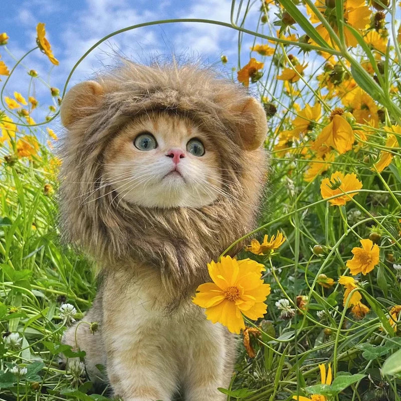 Funny pet clothes – cute cat wig lion mane costume with ears for kittens & dogs, fancy party hat™