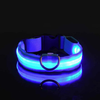 Safety Collar LED Night™