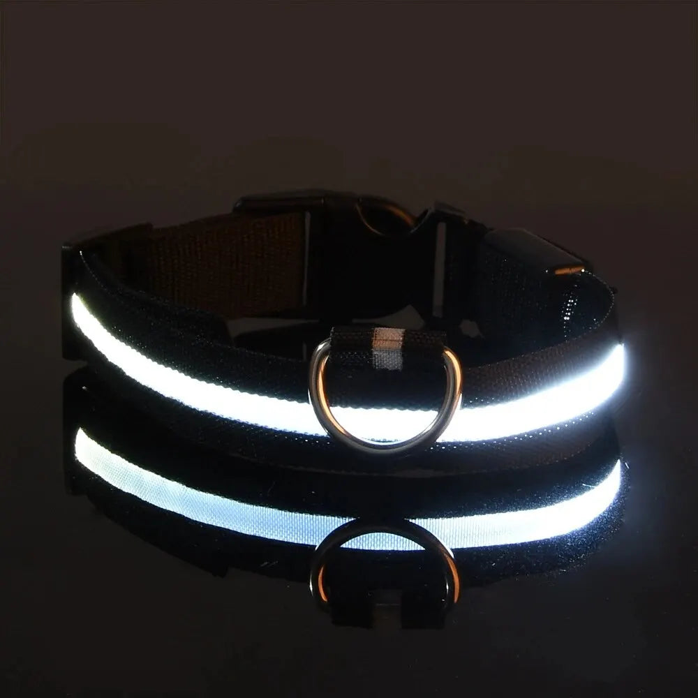 Safety Collar LED Night™