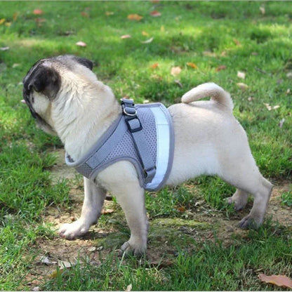 Vest harness leash – adjustable mesh vest with collar™