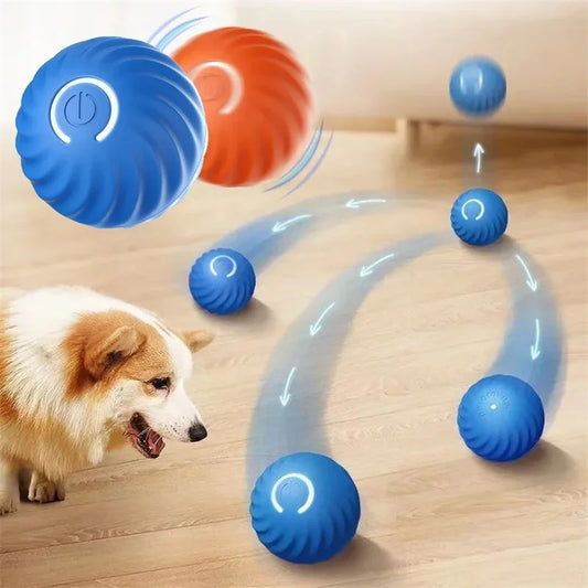 Dynamic Dog Ball™