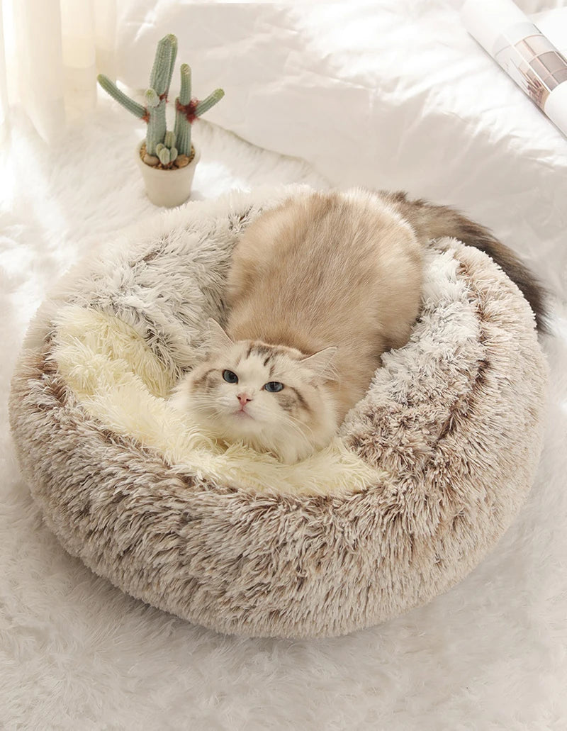 Warm and Comfy Bed for Cats™