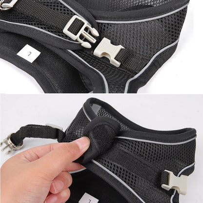 Dog Harness Leash Set for Small Dogs™