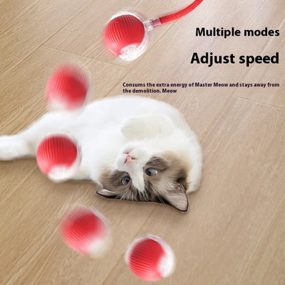 Rechargeable Interactive Cat & Dog Smart Rolling Ball Toy™