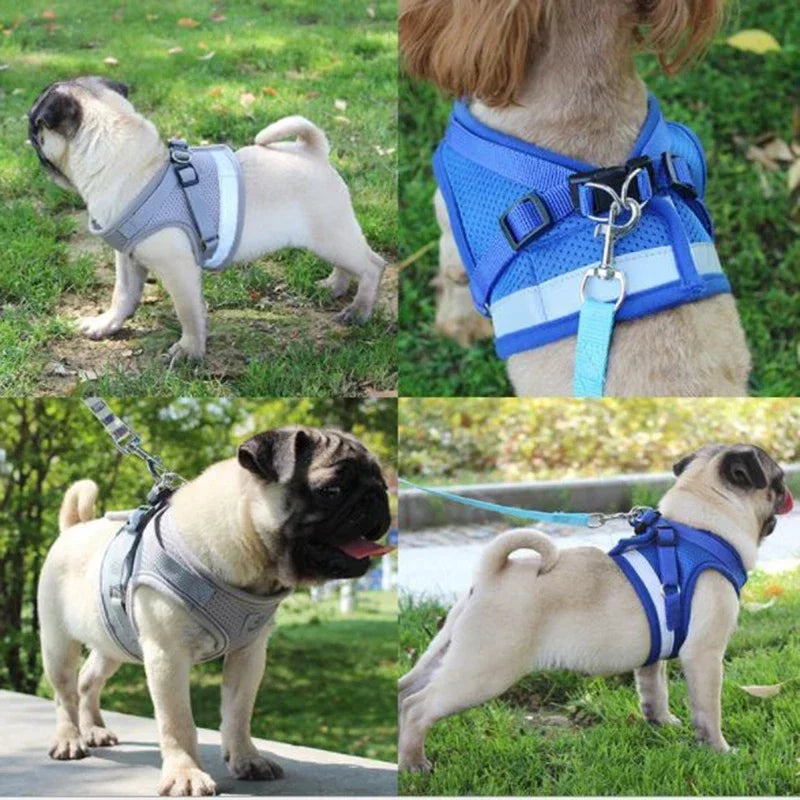 Vest harness leash – adjustable mesh vest with collar™