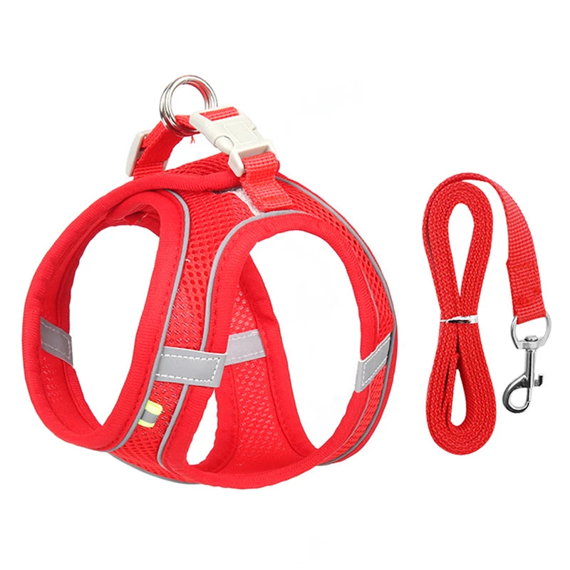 Dog Harness Leash Set for Small Dogs™