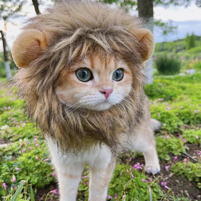 Funny pet clothes – cute cat wig lion mane costume with ears for kittens & dogs, fancy party hat™