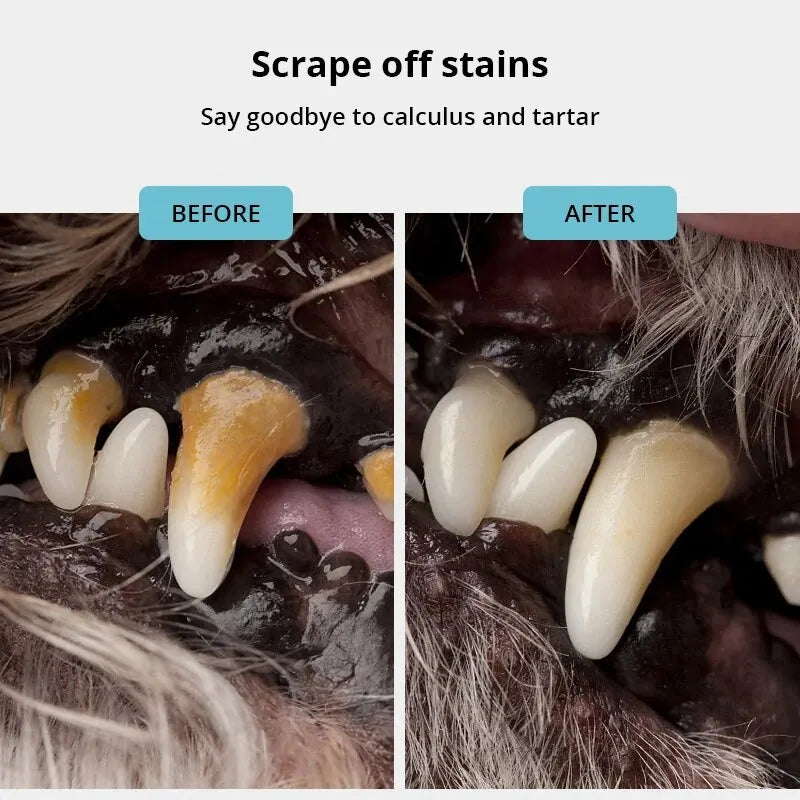 Haustierhund Zahnreiniger – Zahnsteinentferner Schaber, Edelstahl Zahnpen für frischeren Atem™