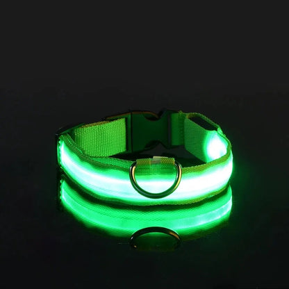 Safety Collar LED Night™