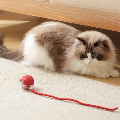 Rechargeable Interactive Cat & Dog Smart Rolling Ball Toy™