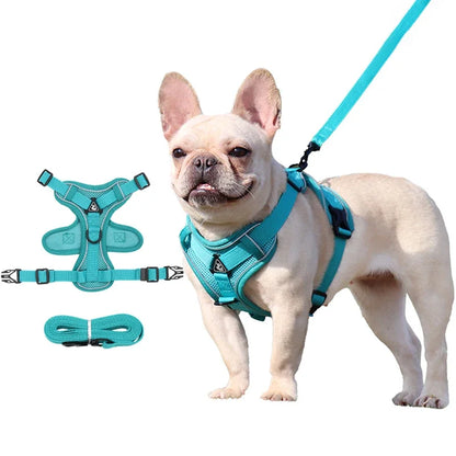 Reflective pet harness – adjustable training vest & leash for small dogs, chihuahua, yorkie™