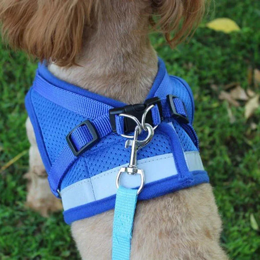 Vest harness leash – adjustable mesh vest with collar™