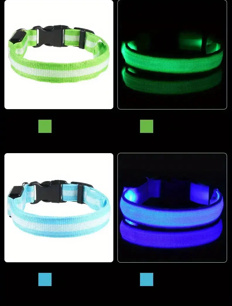 Safety Collar LED Night™