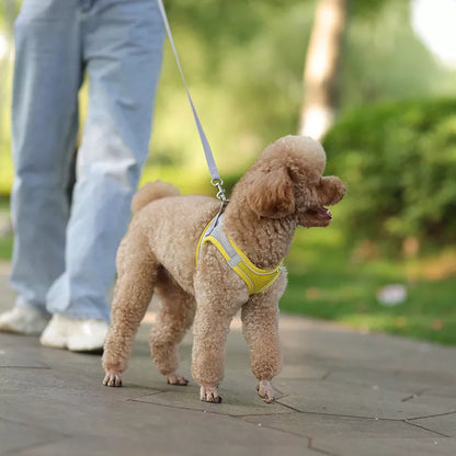 Dog Harness Leash Set for Small Dogs™