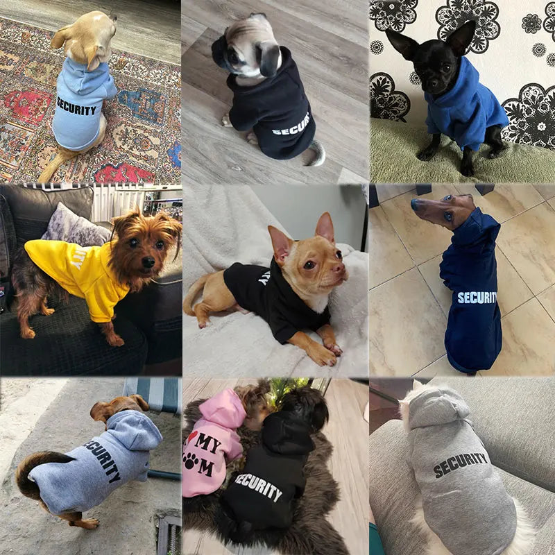 Warm Jackets for Cats & Small Dogs: Stylish Outfits for Your Pet™