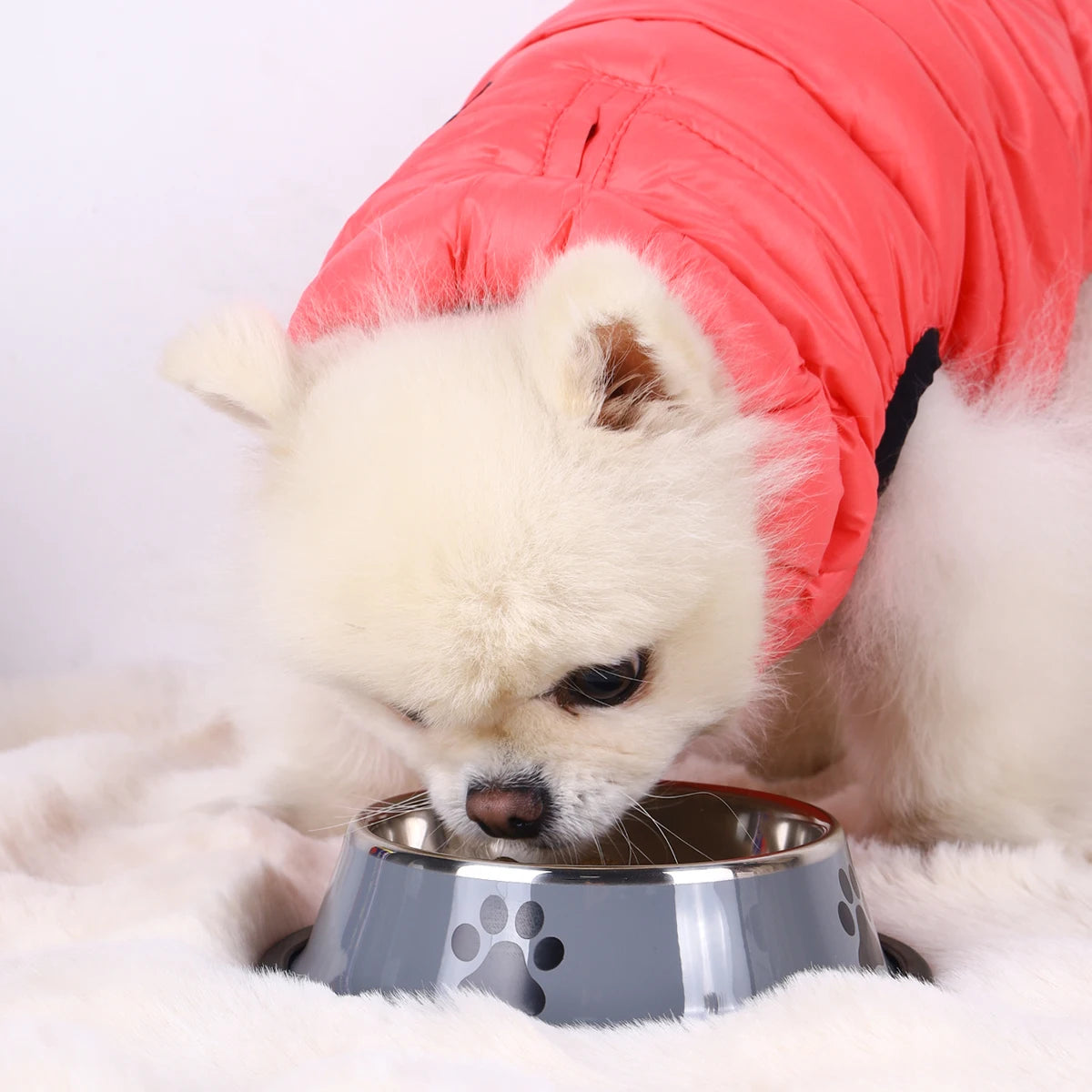 Stainless Steel Pet Bowl – Anti-Fall Food Bowl for Cats & Dogs, Multi-Specification Feeding Bowl™