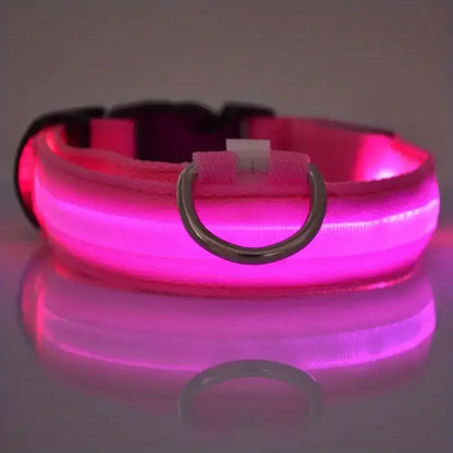 Safety Collar LED Night™