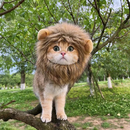 Funny pet clothes – cute cat wig lion mane costume with ears for kittens & dogs, fancy party hat™