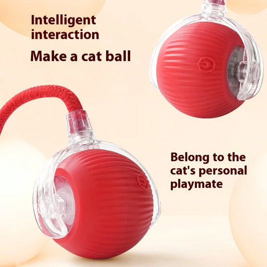 Wiederaufladbarer interaktiver Katzen- und Hundesmart-Rollballspielzeug™