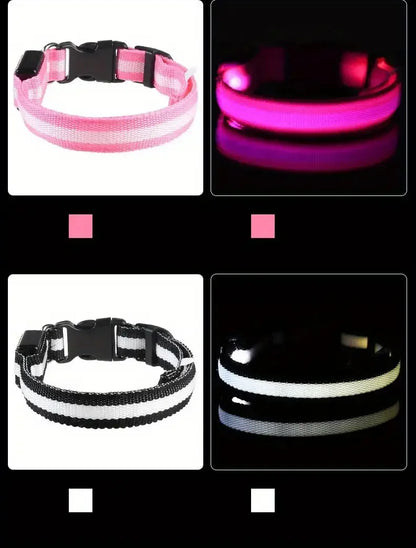 Safety Collar LED Night™