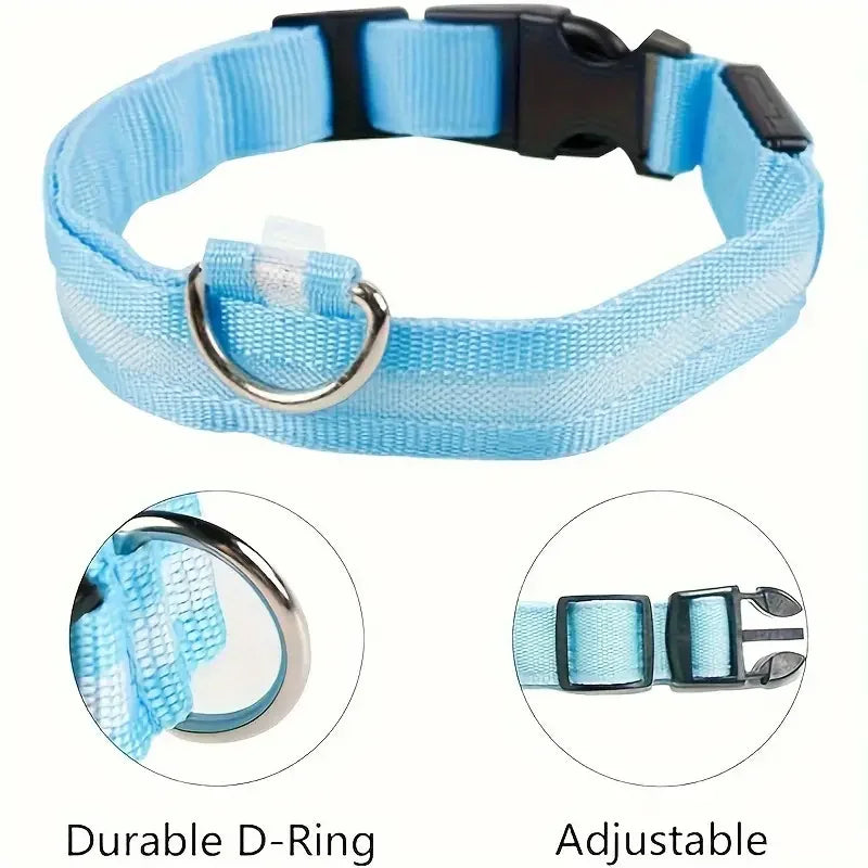 Safety Collar LED Night™