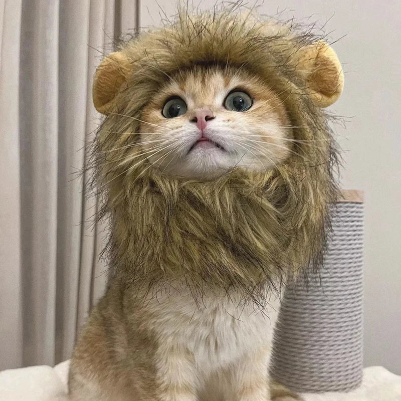 Funny pet clothes – cute cat wig lion mane costume with ears for kittens & dogs, fancy party hat™