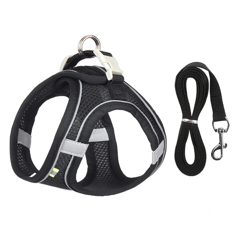 Dog Harness Leash Set for Small Dogs™