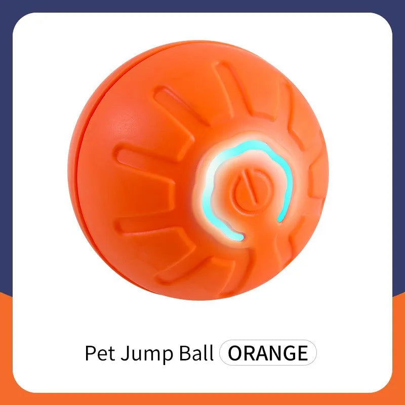 Dynamic Dog Ball™