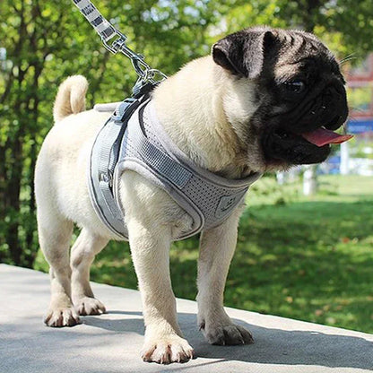 Vest harness leash – adjustable mesh vest with collar™