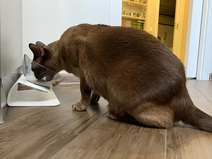 Non-Slip Double Pet Bowl with Stand - Ideal for Cats™