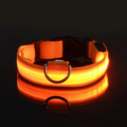 Safety Collar LED Night™