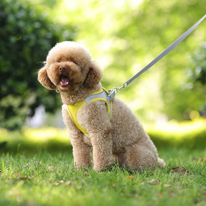 Dog Harness Leash Set for Small Dogs™