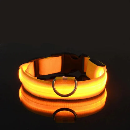 Safety Collar LED Night™