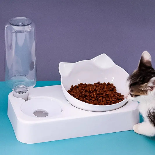 Tilt Pet Bowl with Automatic Water Feeder - Protects Cervical Health™