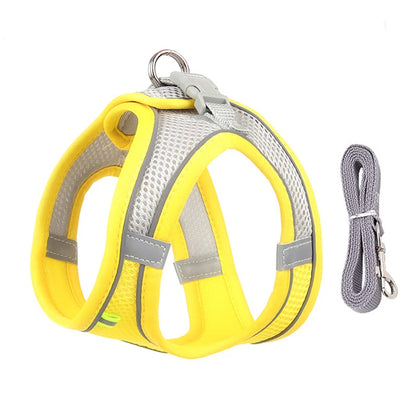 Dog Harness Leash Set for Small Dogs™