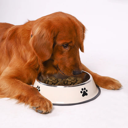 Stainless Steel Pet Bowl – Anti-Fall Food Bowl for Cats & Dogs, Multi-Specification Feeding Bowl™