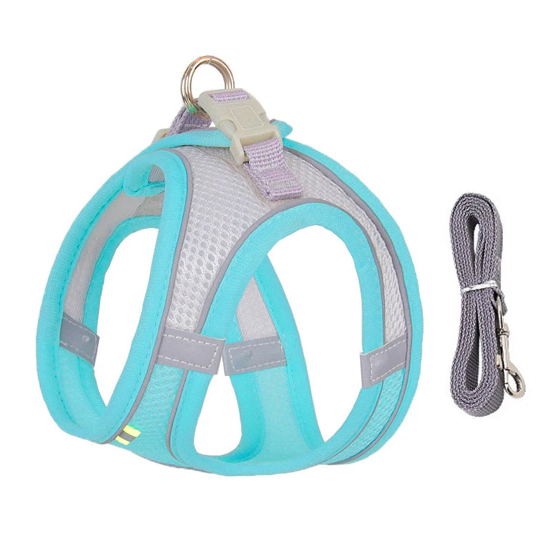 Dog Harness Leash Set for Small Dogs™