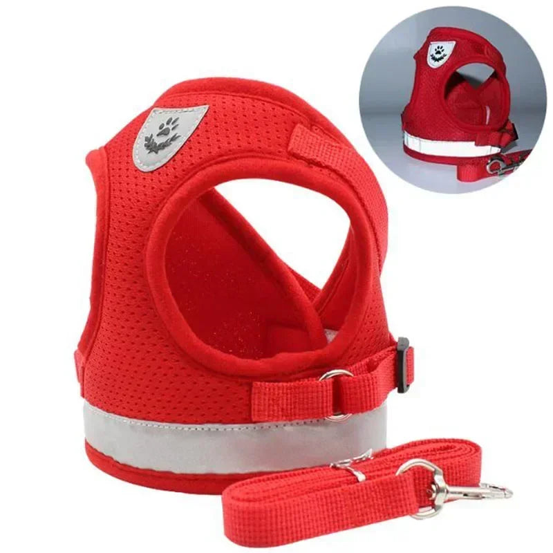 Vest harness leash – adjustable mesh vest with collar™